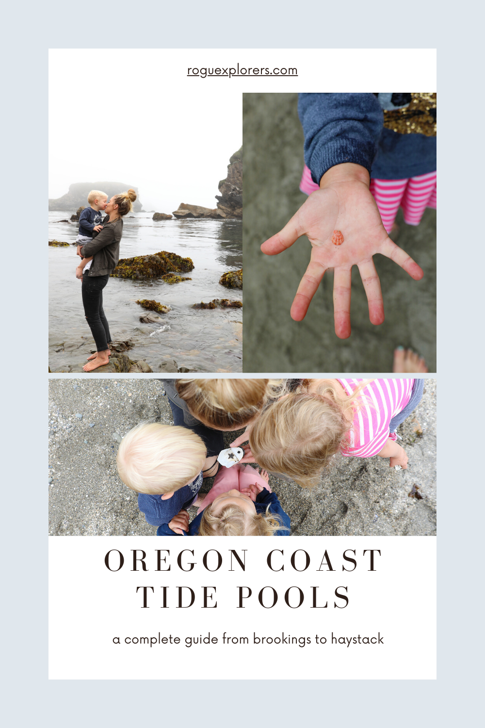 Rogue Xplorers Oregon Coast Tide Pools
