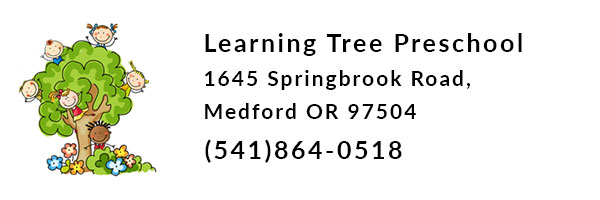 Rogue Xplorers Learning Tree Preschool