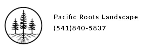 Rogue Xplorers Pacific Roots Landscape