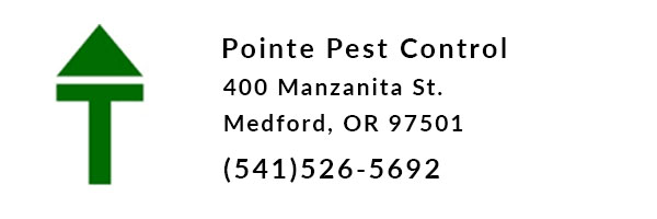 Rogue Xplorers Pointe Pest Control